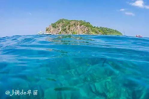 当顶流真不容易，灯光下忍受饥饿与口渴，真可谓美食当前却不能动